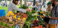 RS30099 Memorial Centre Farmers Market lpr